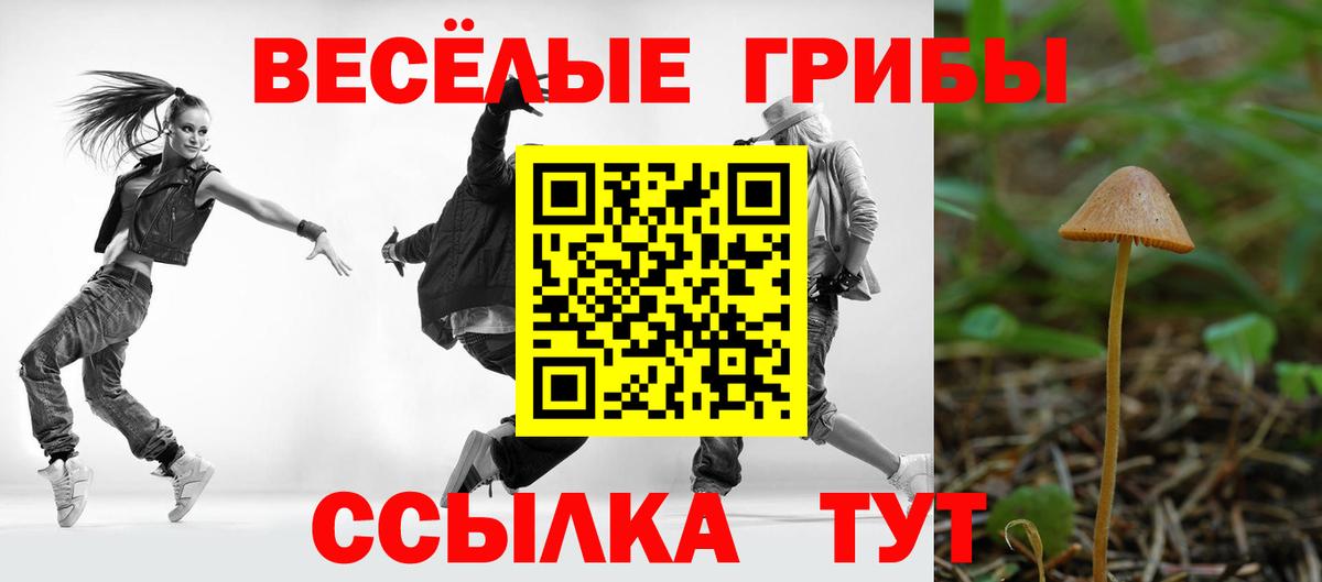Ревда  Галлюциногенные грибы прущие грибы  Галлюциногенные грибы MAGIC MUSHROOMS  Вход с VPN 